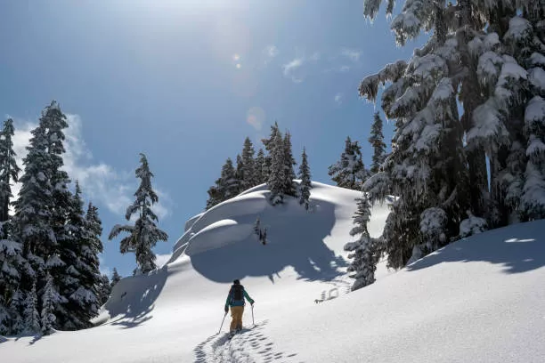 Vivez la freerando dans les Pyrénées : l’équilibre parfait entre montée et descente, encadré par un guide.