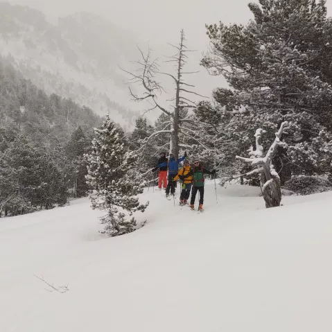 Itin&eacute;raire de ski de randonn&eacute;e dans les Pyr&eacute;n&eacute;es, entre Gavarnie et Cauterets, guid&eacute; en toute s&eacute;curit&eacute;.