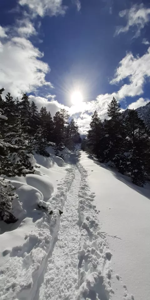 Freerando &agrave; Cauterets : combiner l&rsquo;effort de la mont&eacute;e et le plaisir de la descente en neige vierge.